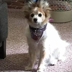 Meet your Posher, Margaret